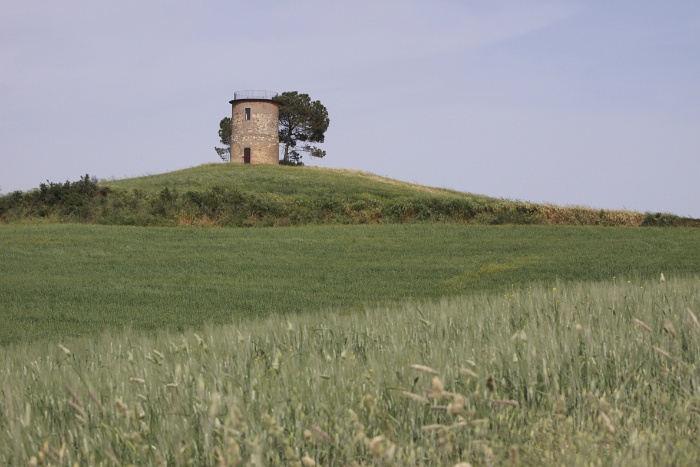 Toscane 09 - 075 - Paysages